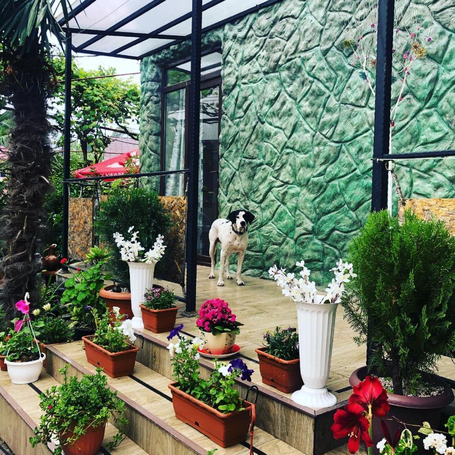 Apartament Papillon Czakwi Zewnętrze zdjęcie