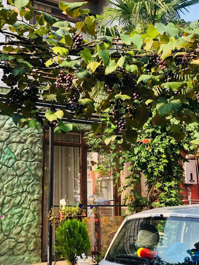 Apartament Papillon Czakwi Zewnętrze zdjęcie