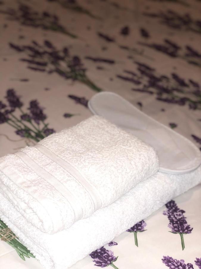 Apartament Papillon Czakwi Zewnętrze zdjęcie