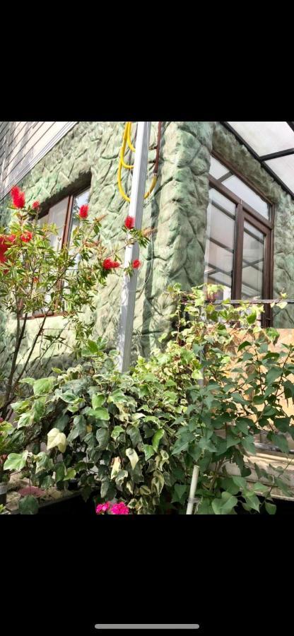 Apartament Papillon Czakwi Zewnętrze zdjęcie